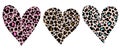 Hearts animal print. Leopard heart vector illustration